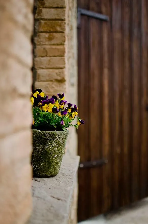 Casa Cal Pastor Guest House Salo